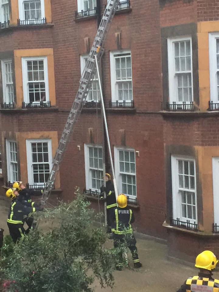 lewisjames999's tweet photo. Powerful photos of fire fighters performing a snatch rescue at a flat fire in Islington, London on 16th July. A family 5 people including 2 children were rescued https://t.co/4HSgPovmM5