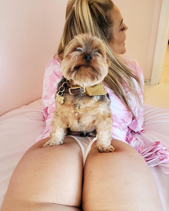 Official bootyguard to @Alexis_Texas https://t.co/fDDuSXSptY<a class="tags" href="/tag/alexis_texas">@alexis_texas</a><a href="/tag/sexpoexpo"class="tags"><span>#sexpoexpo</span></a>