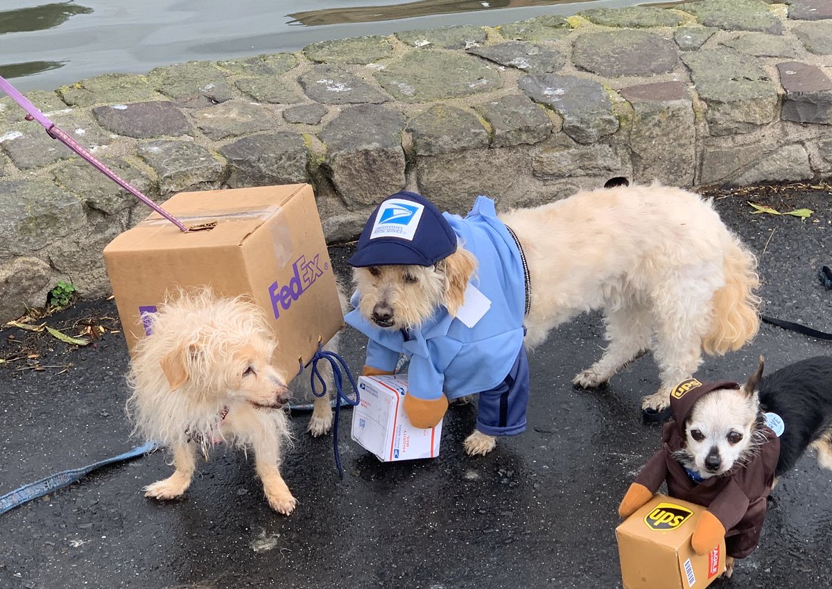 Posted in support of the US Postal Service #vote2020 #uselection #voteforchange #BidenHarris2020