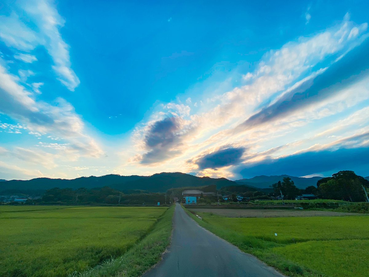 Shota 田舎の田んぼ道 Shota 田舎の田んぼ道