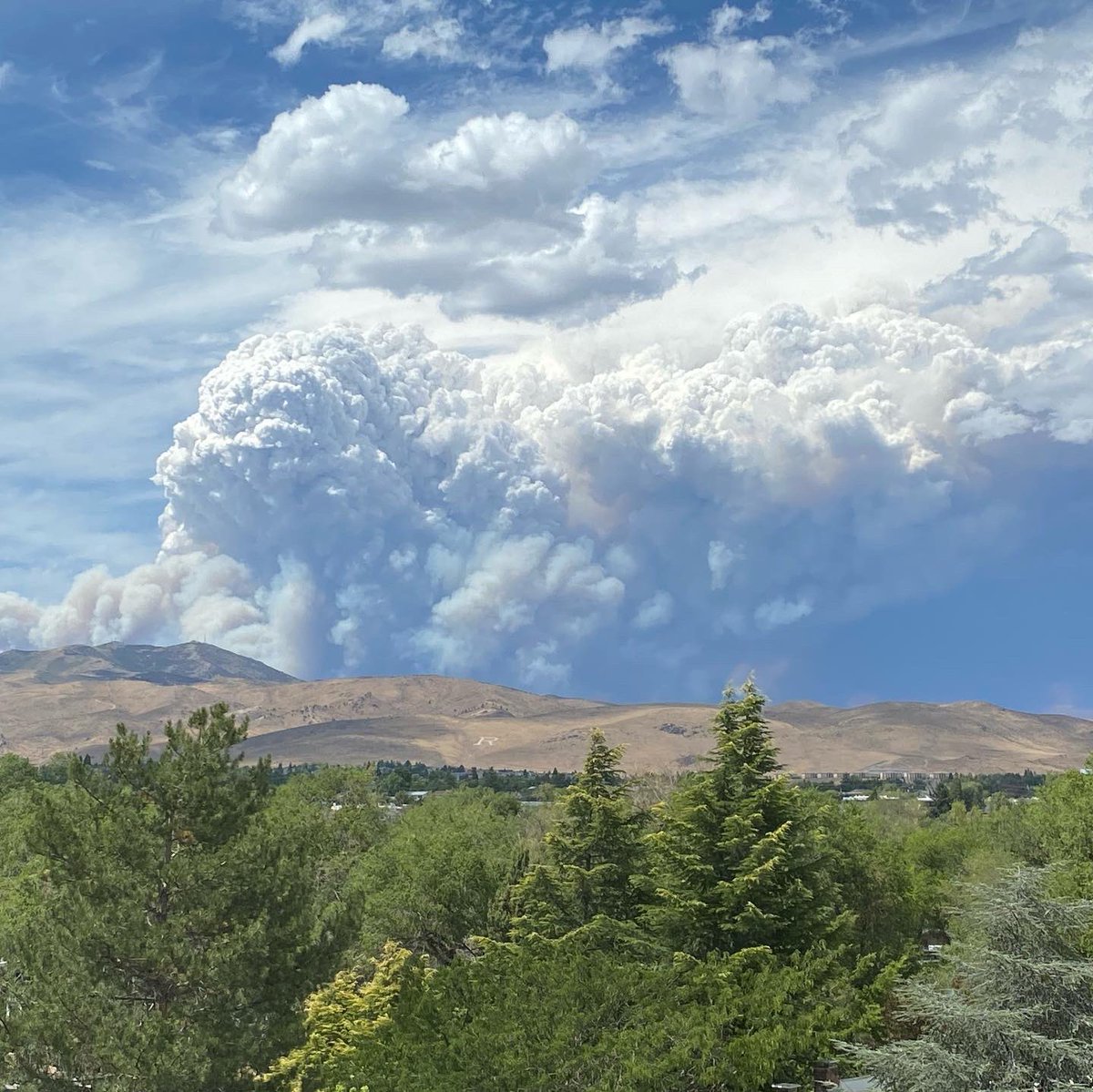 accordingtouna's tweet photo. It’s fire 🔥 season... this blaze in Loyalton California is so large it can be seen from my window in Reno Nevada 😢 a constant reminder on how hot the world is getting. https://t.co/AZjphFjAwJ