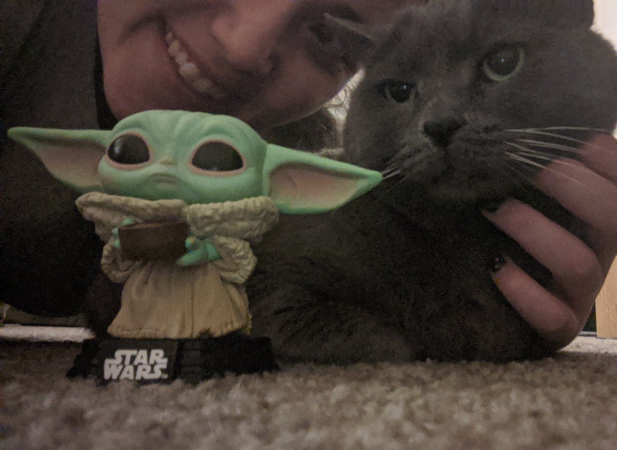 MzDunk's tweet photo. Got a #StreamGift in the mail from the Slyfox family 💙 thank you!! Boo is skeptical but I am sure baby Yoda will grow on her 😂

I meant to open it on stream, but I thought it was my kitchen cleaner I ordered😂 it was a lovely surprise! Little tea cup Yoda is adorbs💙 https://t.co/4WMrPkGskD