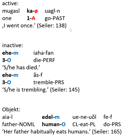 dietweeterei's tweet photo. 24/ Lastly, there are ACT/INACT systems (S^A = A, S^P = P). They are sometimes called “split S” or “semantic alignment”. Here are examples from #Imonda (Papuan). In Imonda all verbs of movement trigger an active marking and all other verbs an inactive one. https://t.co/yDm5iFNjRZ