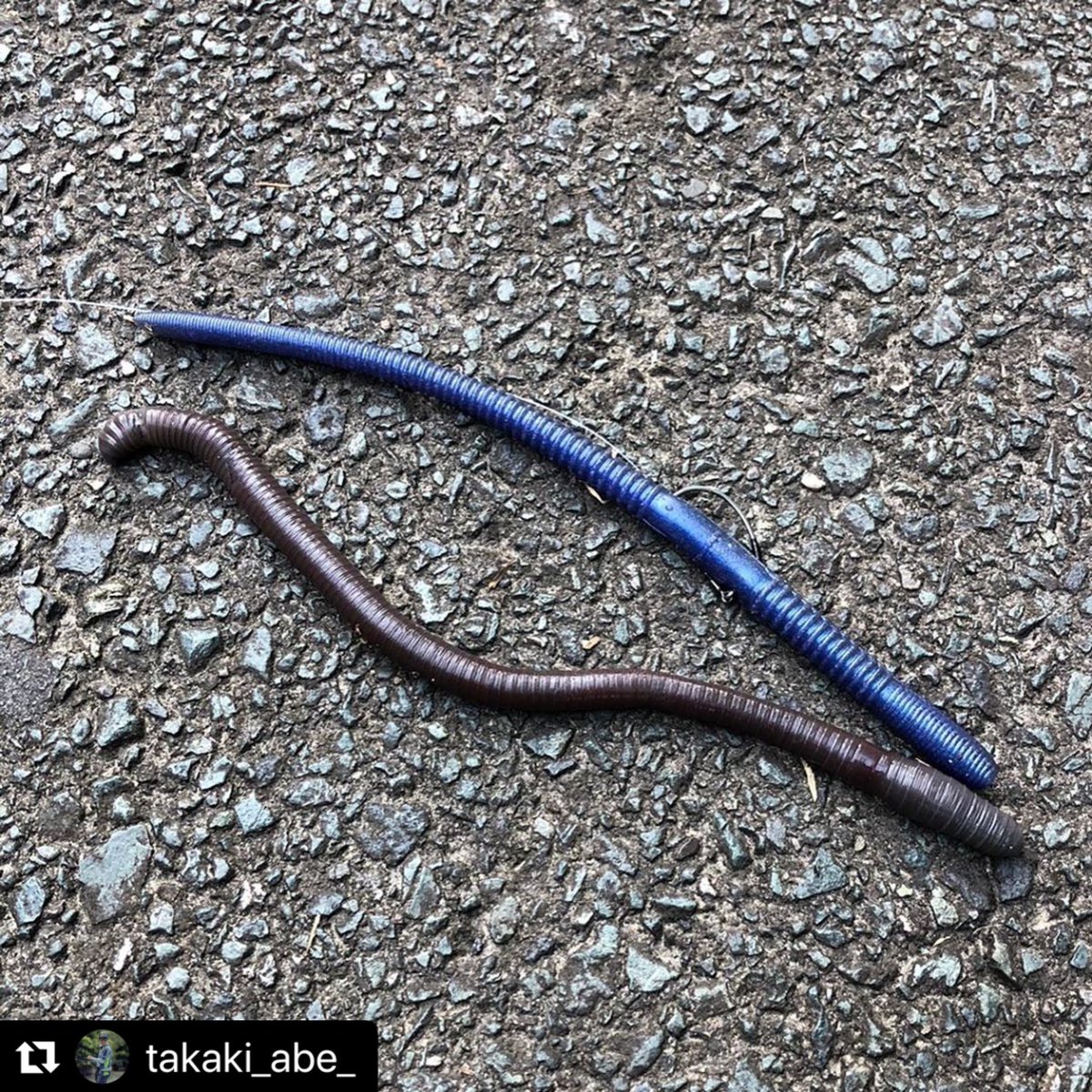 Toshinari Namiki並木敏成 上がドライブクローラー9インチ 下が野池陸っぱりで阿部ちゃんが見たというミミズ クローラー9インチが普通によく釣れる理由が分かるね T Co Kpljyji7rd Twitter