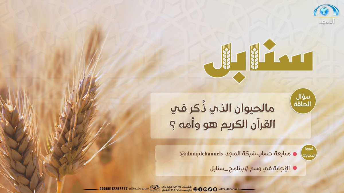 شبكة المجد tweet media