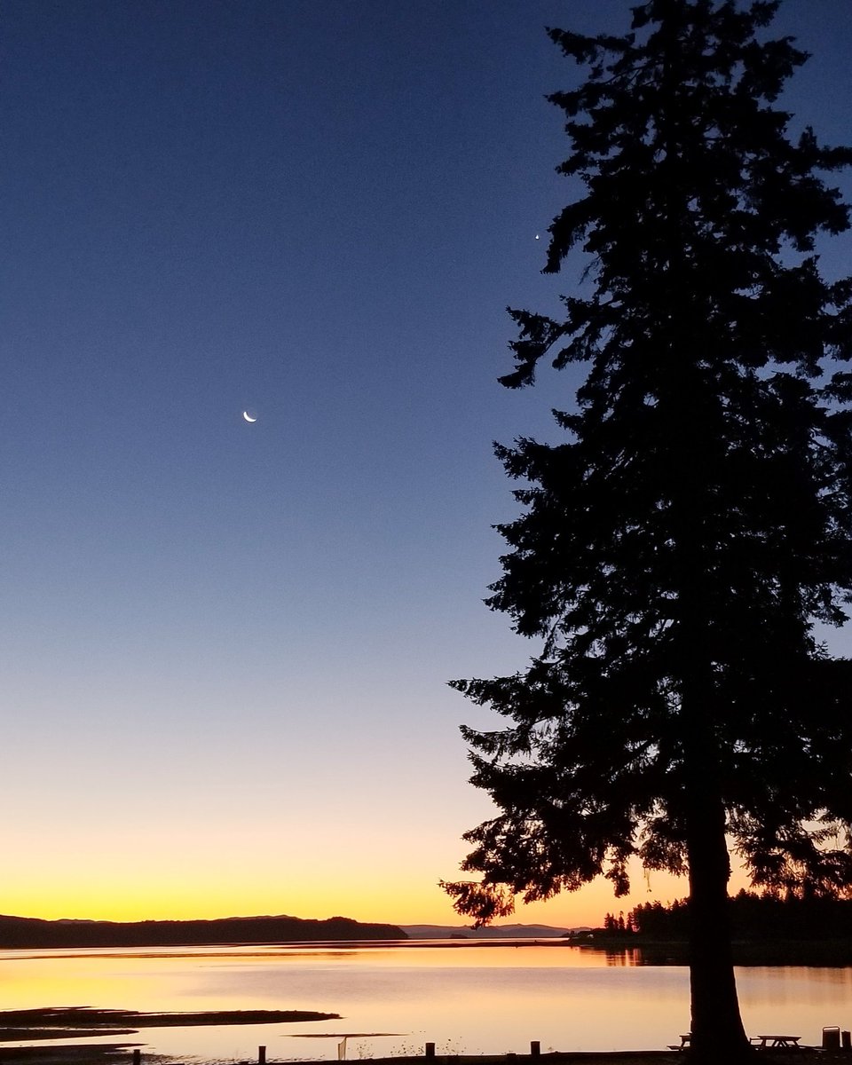 SaltAirPhotos's tweet photo. Good morning from Fanny Bay

#britishcolumbia #explorebc #pnw https://t.co/6cMB9ROG4U