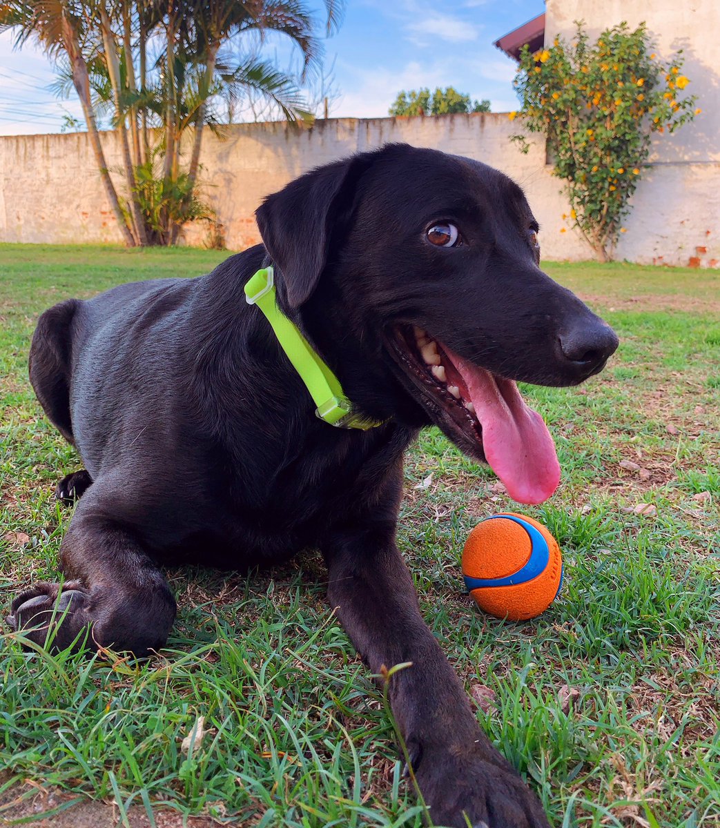 LUKE & ARYA tweet media