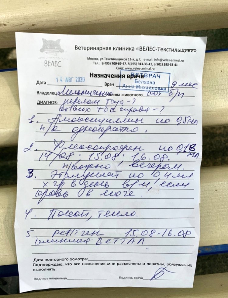 vzrosly_content's tweet photo. Моя подписчица подобрала на улице котика — в ветклинике у него обнаружили перелом таза(
Через пару дней нашелся хозяин, но когда ему озвучили расходы на операцию (18-20 тыс.) — сразу открестился от кота и заявил, что платить не собирается
Давайте поможем малышу

5336690283819227 https://t.co/MoYYWs1JmT