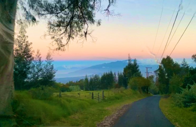 kai_creditedge's tweet image. Aloha Kakahiaka Maui 🌈
It’s already the start to a beautiful day 🤎 this morning view. 
Happy Sunday ~ make your day amazing! 
#HelloNewWeek