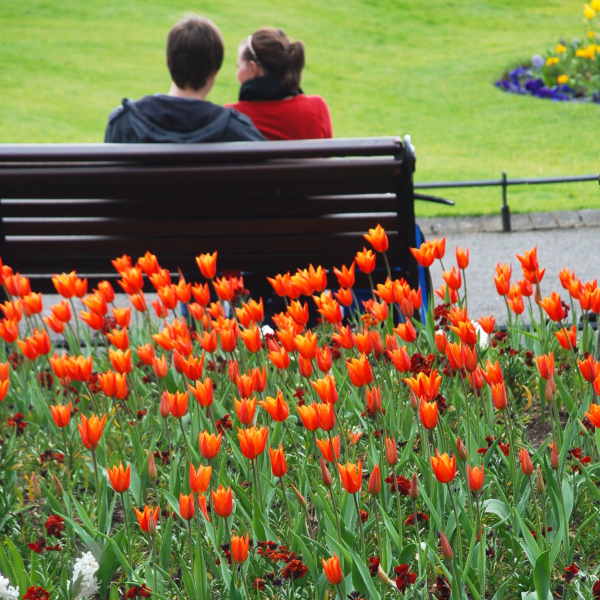 Dublin is a giant sprawling city but the heart of it is where I took most of my pictures, before hooking up with Brian for a pint.
