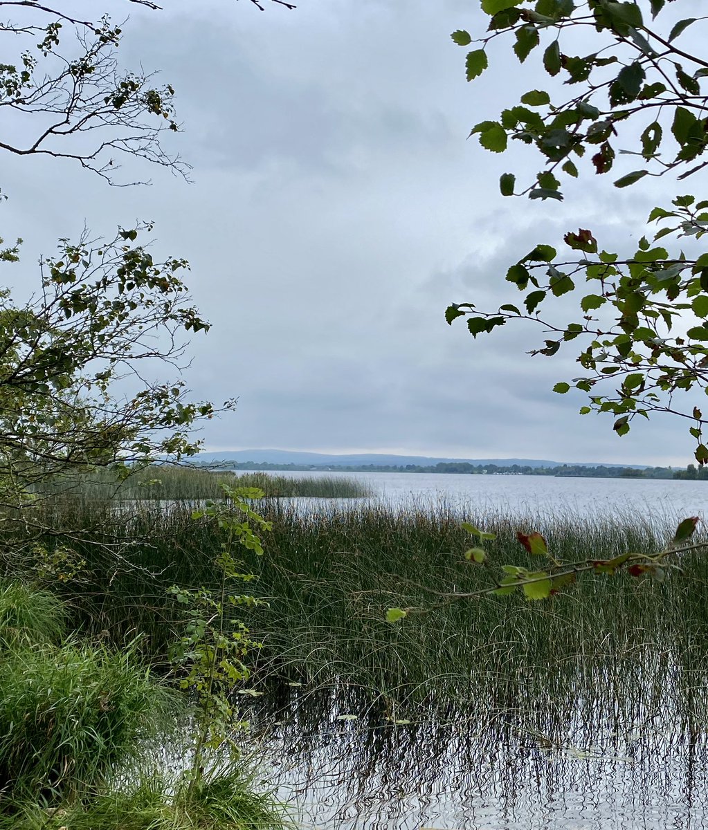 The beauty of Lough Derg at Bonaveen point @VisitPortumna Fab 10km walk @SteedFiona @MaryCorry3