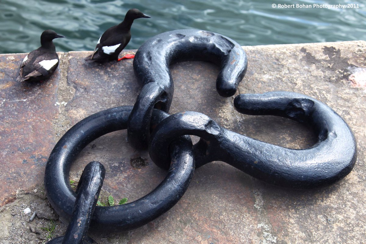 Capel St Bridge, once called Essex Bridge & now Grattan Bridge was where Brian & I would plan an evening as we watched the sun set on the Liffey. Long shadows & memories.