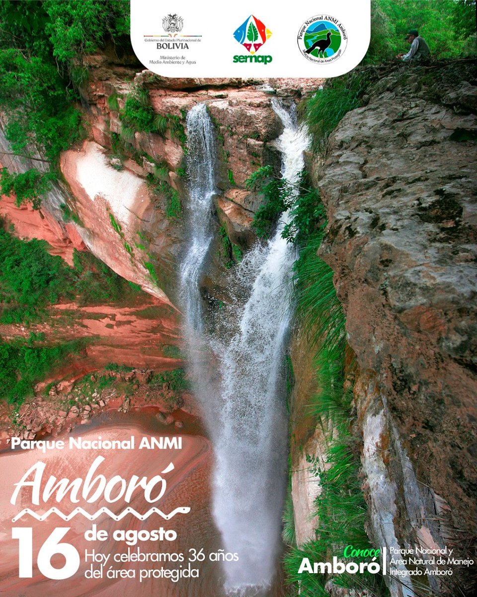 💚El Parque Nacional y Área Natural de Manejo Integrado Amboró, cumple 36 años de su creación, valiosa fuente de vida🌿🌱
Lee la nota completa en: 
bit.ly/3as9uhs
#SERNAP #MMAyA #áreasprotegidas