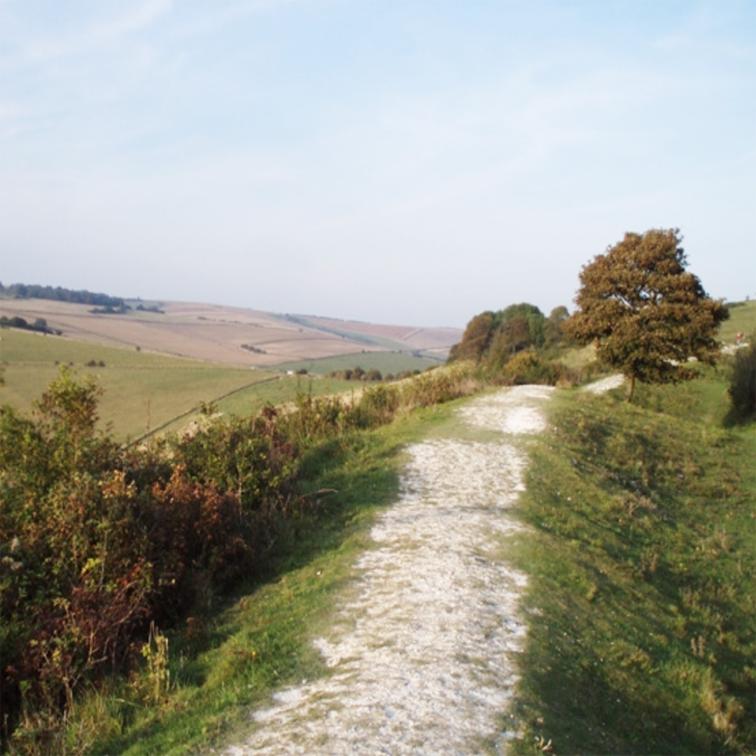 🌟 Brand New + Available August! 🌟

Introducing The Clearing, a cosy, rural retreat for two set in the heart of the South Downs - Book and go this August 👉

amberleyhousecottages.co.uk/Sussex/Holiday…