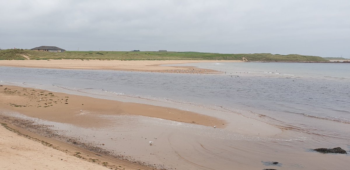 Don't forget Peterhead when looking for beautiful long beach walks. #forgotten #nescotland #Hidden #beaches #Stunning