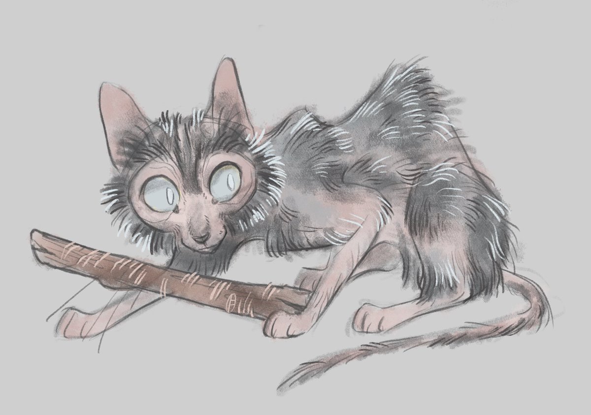Finchwing's tweet photo. I took some warrior cat prompts on my side account, here’s siamese Scourge and lykoi Rock https://t.co/T40v2RDafy