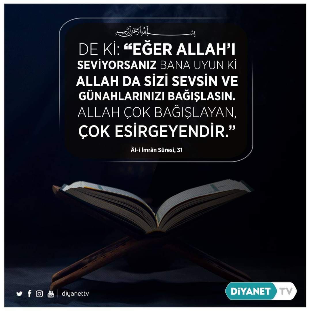 Qoramol buqa jinsiy olatni