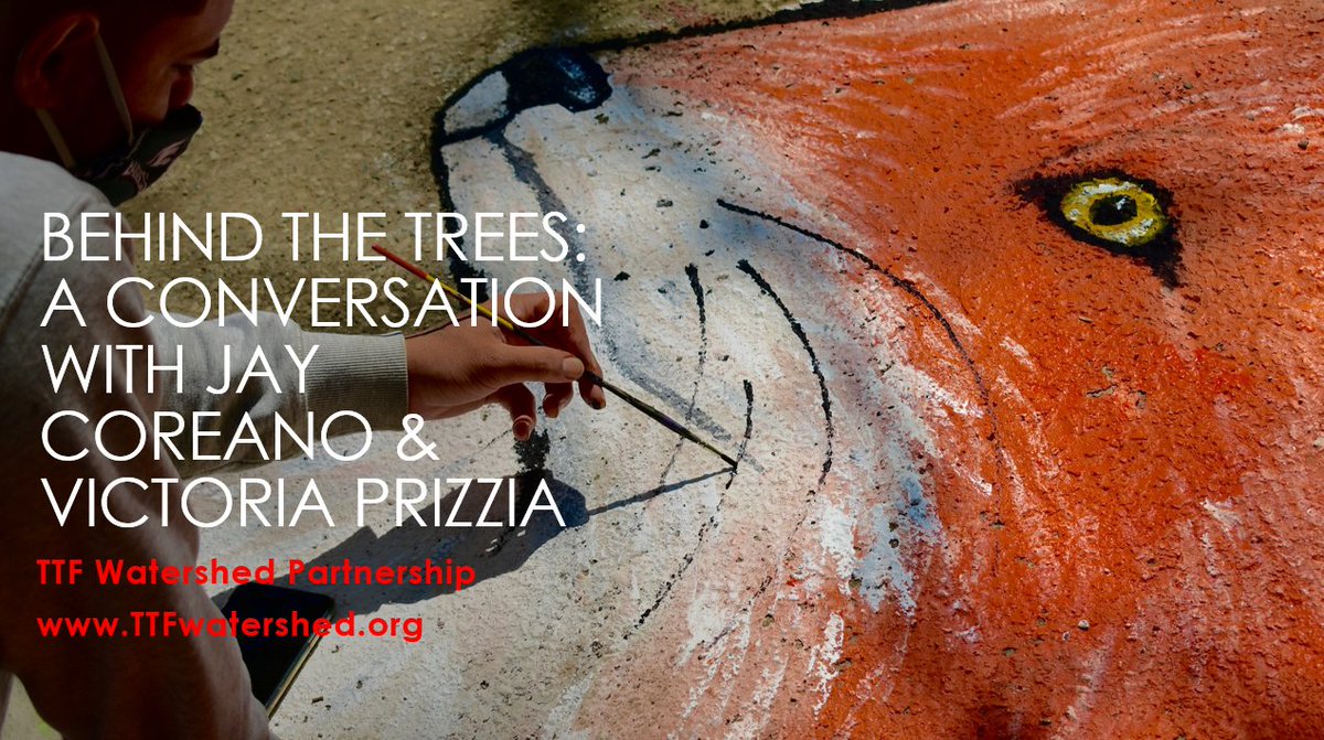 TTFWatershed's tweet photo. If you missed our live conversation with these incredibly talented local artists, you're in for a treat! A recording of "Behind the Trees" is available now in both English and Spanish on our videos page. β‘οΈhttps://t.co/413LRUMg9p π½οΈ #LoveOurPark #discoverTCP #TaconyCreekPark https://t.co/jLDhxkjusr