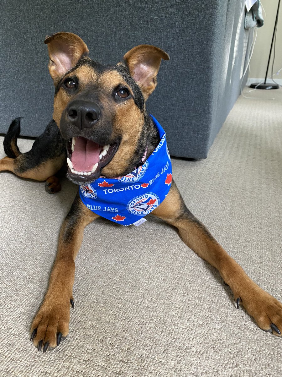 Sarah Jagger tweet media