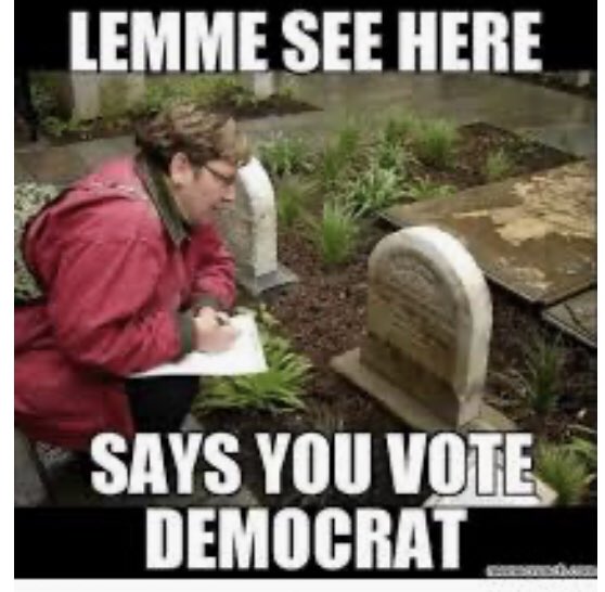 RazorbackPride1's tweet photo. @kellyfi20010920 @KamalaHarris Liberals are up to their old tricks. #ShowIDToVote #ShouldBeRequired https://t.co/2YVt3xTtUB