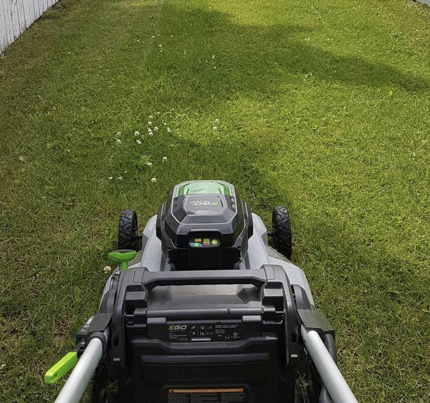 toystoryandy716's tweet photo. I leave the lawn clippings on the lawn so they act as a natural fertilizer #thinkbluefranklin @TOFranklinMA https://t.co/HWU83tuBEt