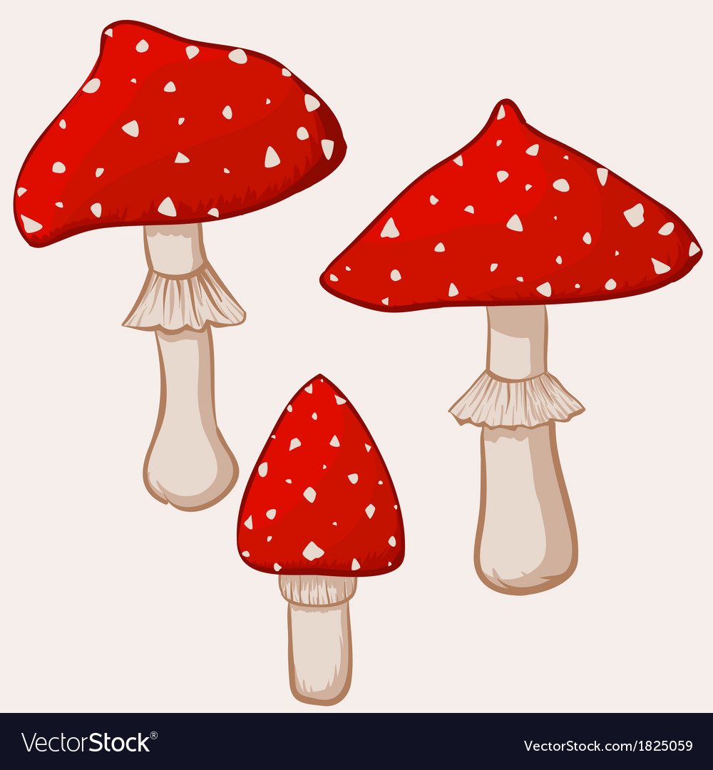 NongKhaiSon's tweet photo. Note the mushrooms 🍄 even the emoji
All originate from the Amanita Muscaria. Coincidence 🤔 #WhyTho #ChristmasStory #HighPriests https://t.co/ioduhqlicV