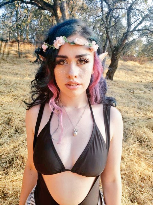 Wow 300 tweeters UwU https://t.co/yXz5ZjvQcN<a href="/tag/corpsetwtselfieday"class="tags"><span>#corpsetwtselfieday</span></a>