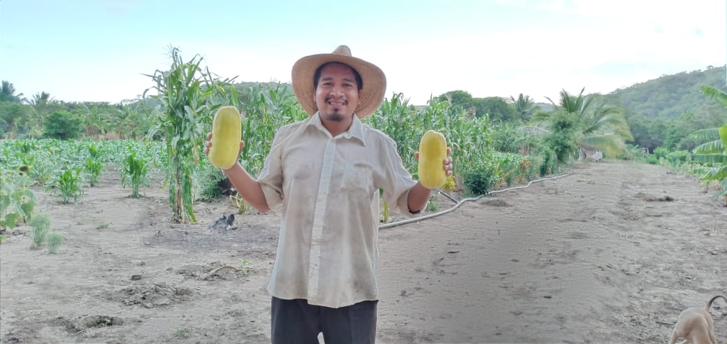 chepehux's tweet photo. Y seguimos produciendo🌱 en esta plena pandemia...🥒🥒👌

#PepinosCriollos
#Cacaluta🌊
#Huatulco🌴
#Oaxaca❤️
#México🇲🇽 https://t.co/cp5RNB6yGT