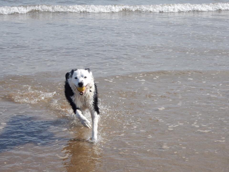 ✨Rosie✨ tweet media