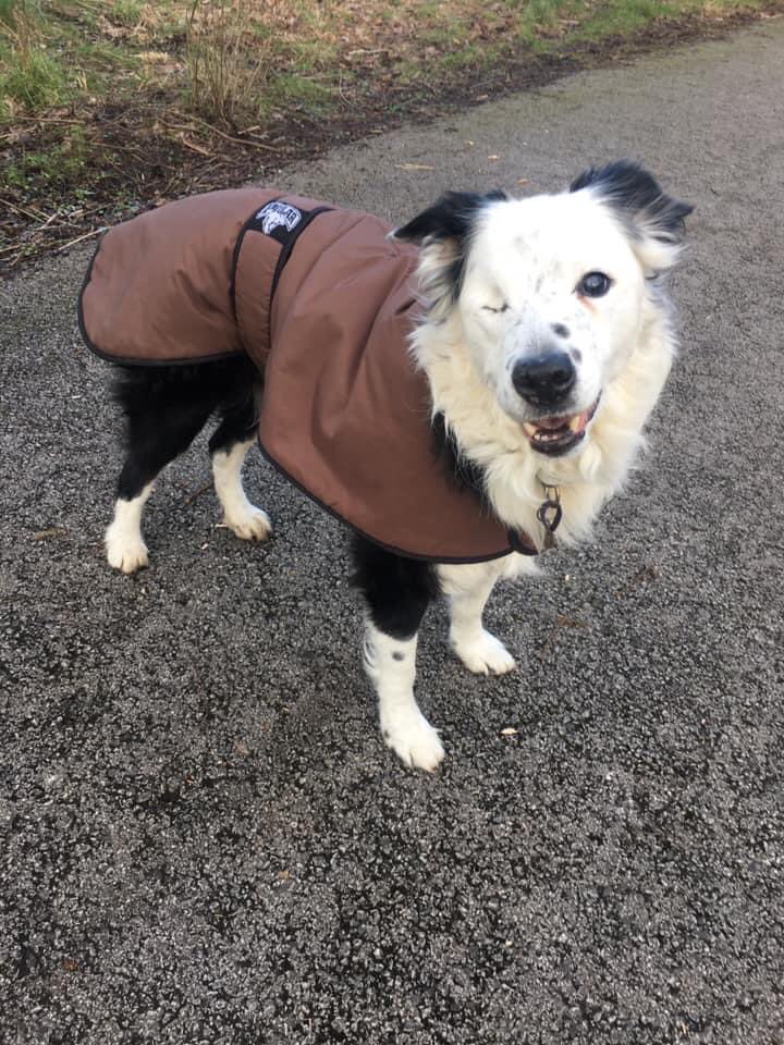 ✨Rosie✨ tweet media