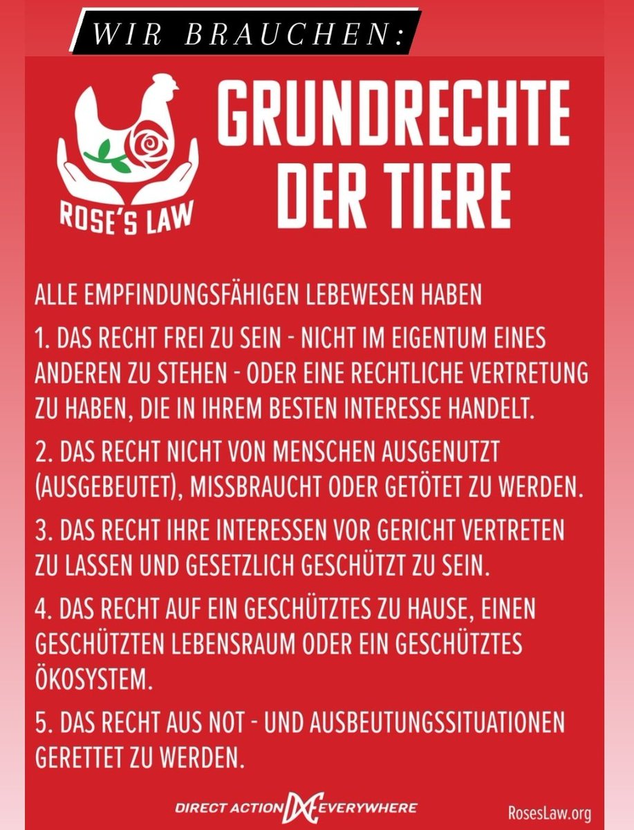 Grundrechte für alle empfindsamen Lebewesen!#roseslaw #tierrechte #tierrettung #tierschutz #colognevegan #kölnvegan #veganismus #bonnvegan #vegannrw #vegandeutschland #deutschlandvegan #vegangermany #veganwerdenwaslosdigga #veganaktivimus #tierbefreiung #nonviolence #animalrights