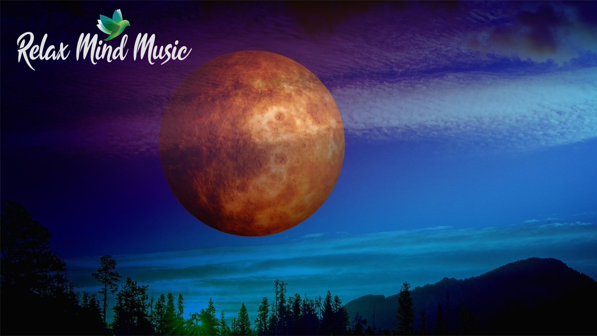 KevinDgmark's tweet photo. The Best Relaxation Music For Sleep, Stress Relief And Healing https://t.co/kUfLBdGiqX #relaxingtime #relaxingvideos #relaxingmusic #relaxingsounds #relaxing_time #relaxingvideo #relaxingmoments  #relaxingpiano #relaxingspa #relaxingnight #relaxingmoment https://t.co/EWlDCOu3Ax