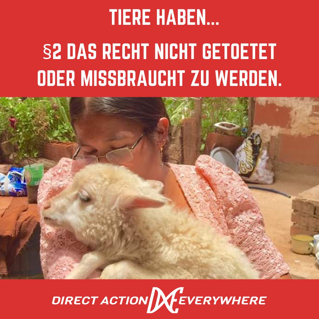 #roseslaw #tierrechte #tierrettung #tierschutz #colognevegan #kölnvegan #veganismus #bonnvegan #vegannrw #vegandeutschland #deutschlandvegan #vegangermany #veganwerdenwaslosdigga #veganaktivimus #tierbefreiung #nonviolence #animalrightsactivist #animalrightsactivism #COVID19