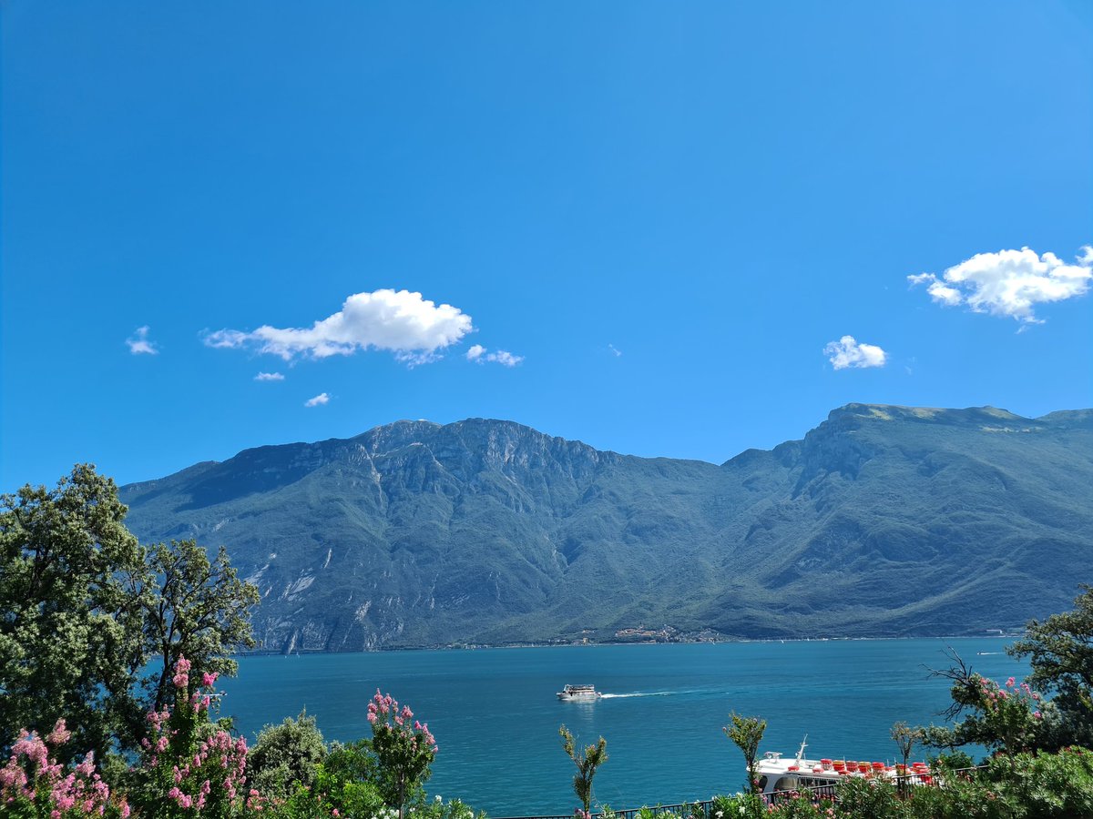 ManniTaal's tweet photo. De afgelopen dagen in een notendop: panoramisch uitzicht en een bruiloft bij #Albisano en #Limone van boven en vanaf het strand. Heerlijk!
#LagodiGarda #Gardameer #Italia https://t.co/ZXjy3DGgHt