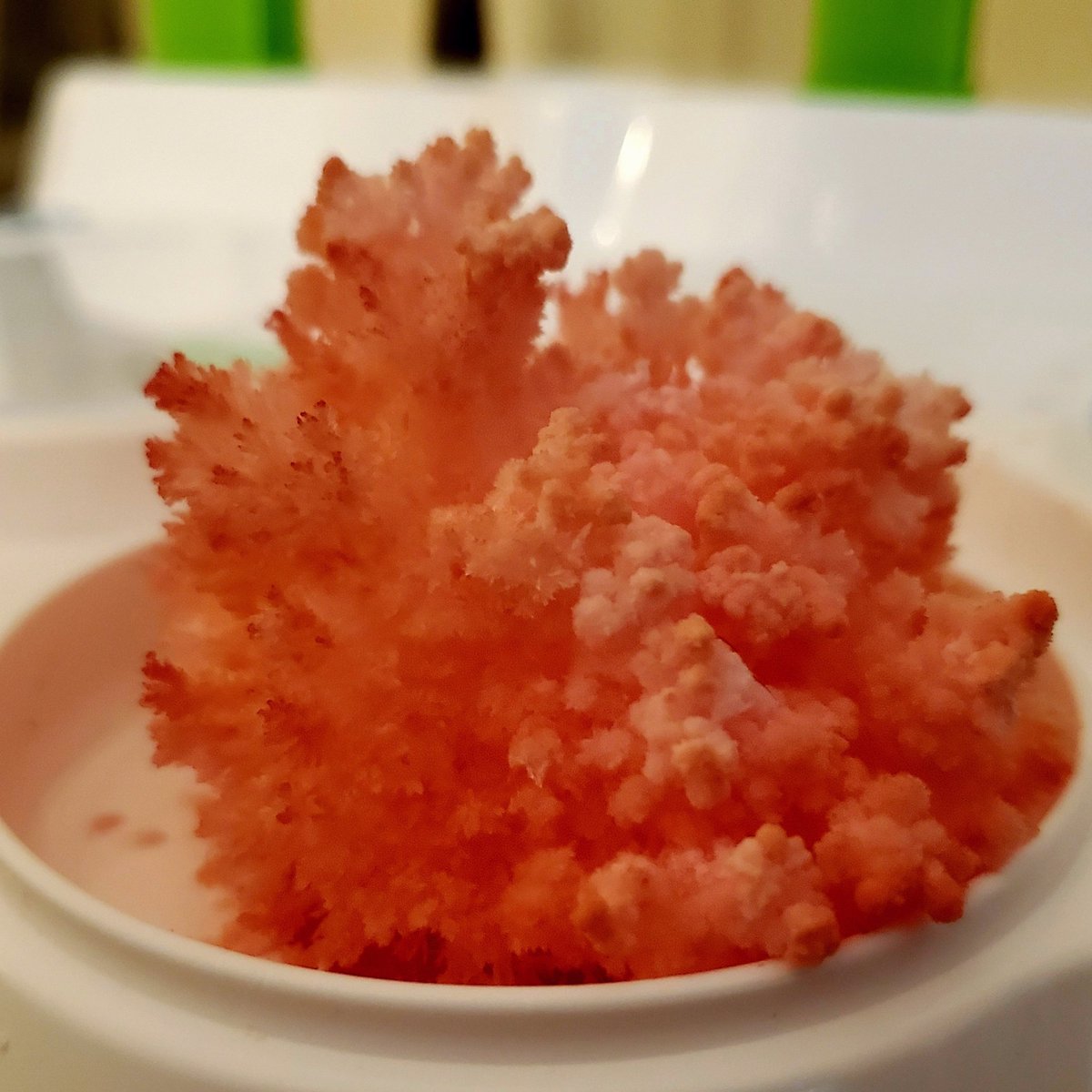 meredithspidel's tweet image. Making our own fun at home has never been more important. Throw in a bit of science ed &amp;amp; pretty crystals = SCORE! AD 🧪🧫

These cool new @ThamesAndKosmos kits give my kids something to do together &amp;amp; they LOVE watching their #crystals grow! 

#scienceexperimentsforkids #noscreens