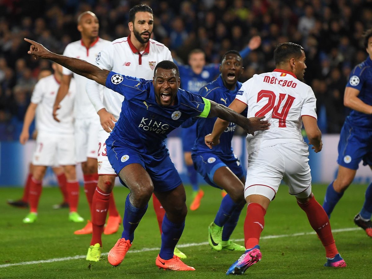 Wellsy 🦊 tweet media