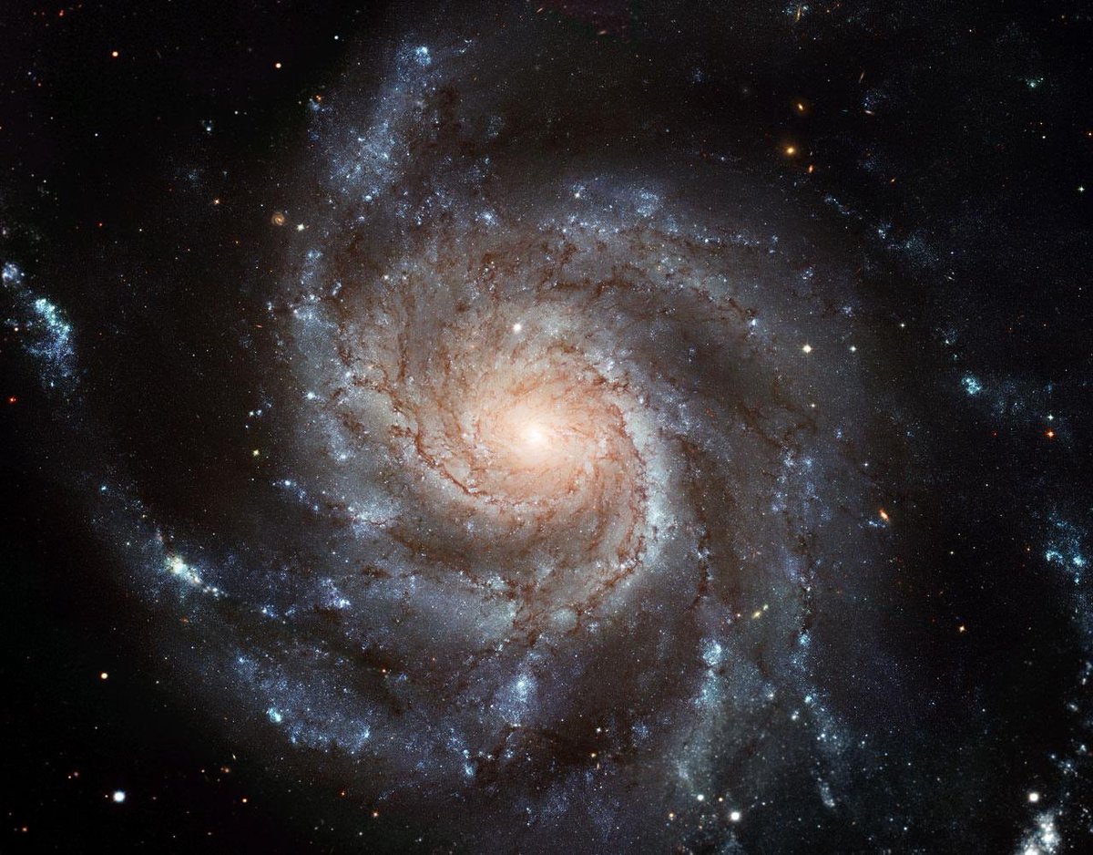 deryakawa's tweet photo. You are not alone, I’m just taking you to the next level and some people can’t go with you. The universe ✨ https://t.co/oc0Xtzx6fZ