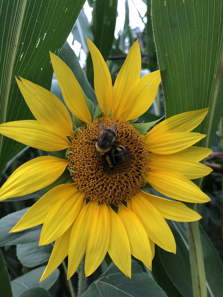 YvonneMarti tweet media