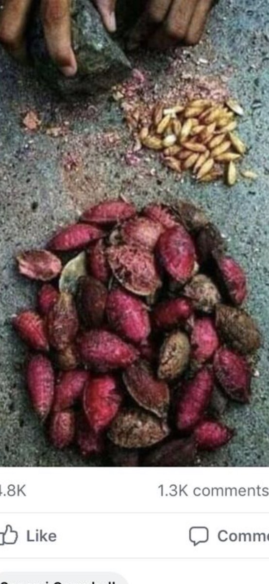 Cakeflair's tweet image. Have you ever baked with African Almonds? #cakeflairlagos