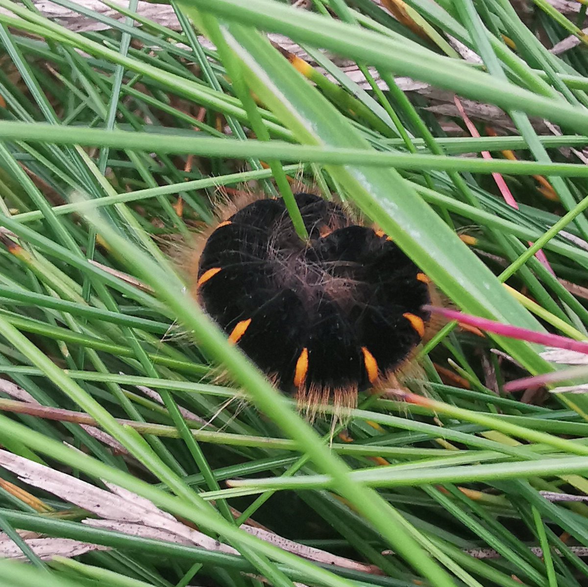 Knockadoon Peninsula tweet media