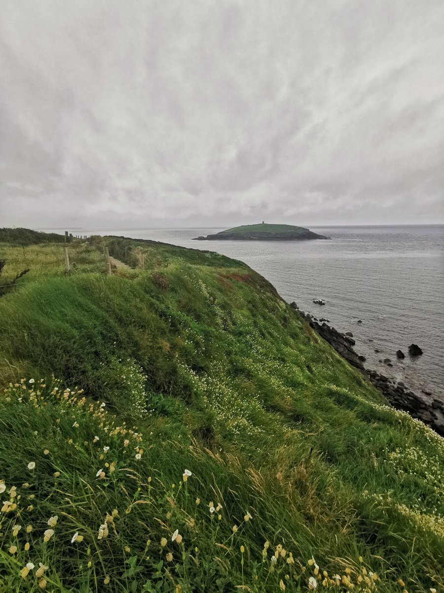 Knockadoon Peninsula tweet media