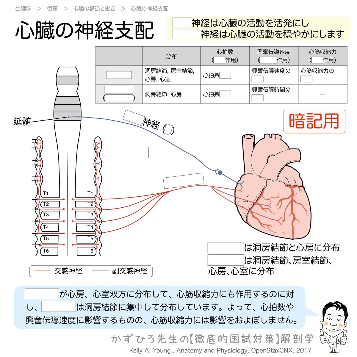 臨床心臓構造学 | 書籍詳細 | 書籍 | 医学書院