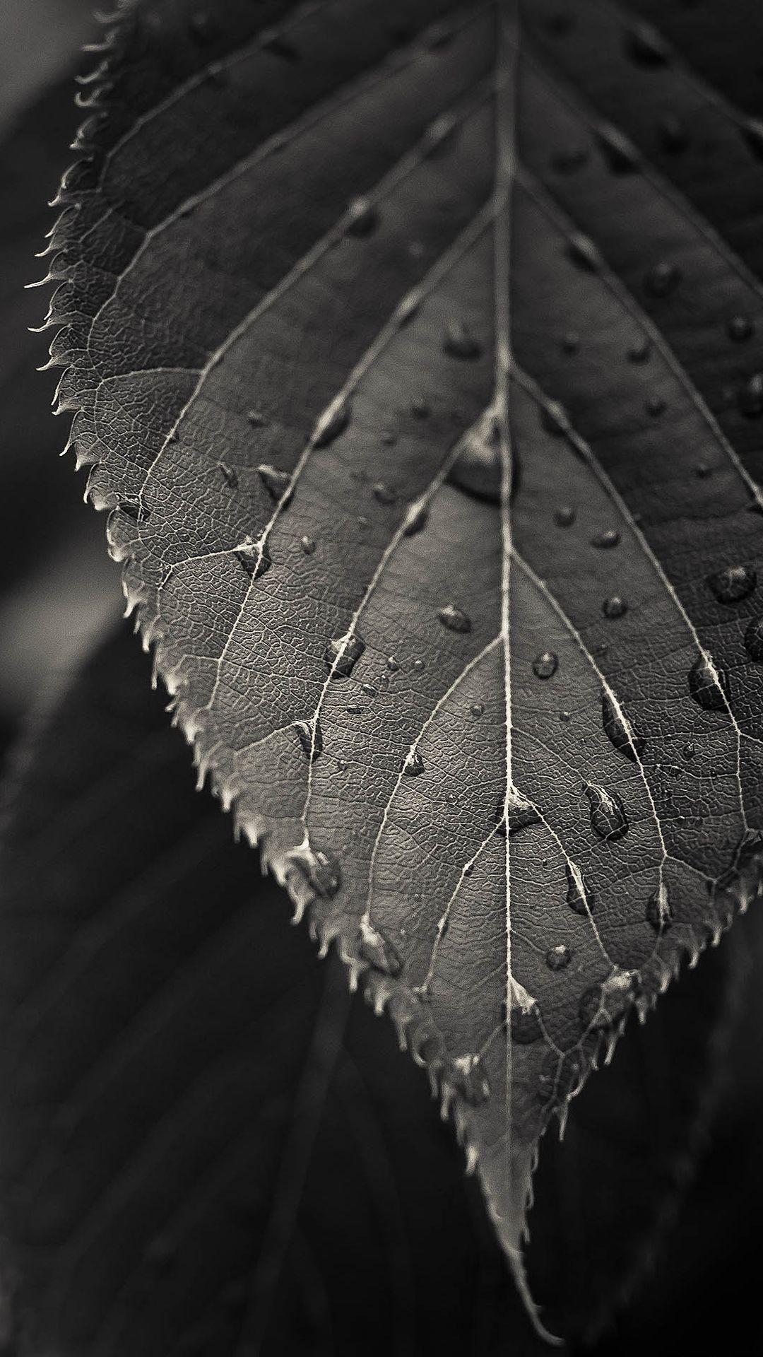 Wallpaper on Twitter: Wallpaper on Twitter: