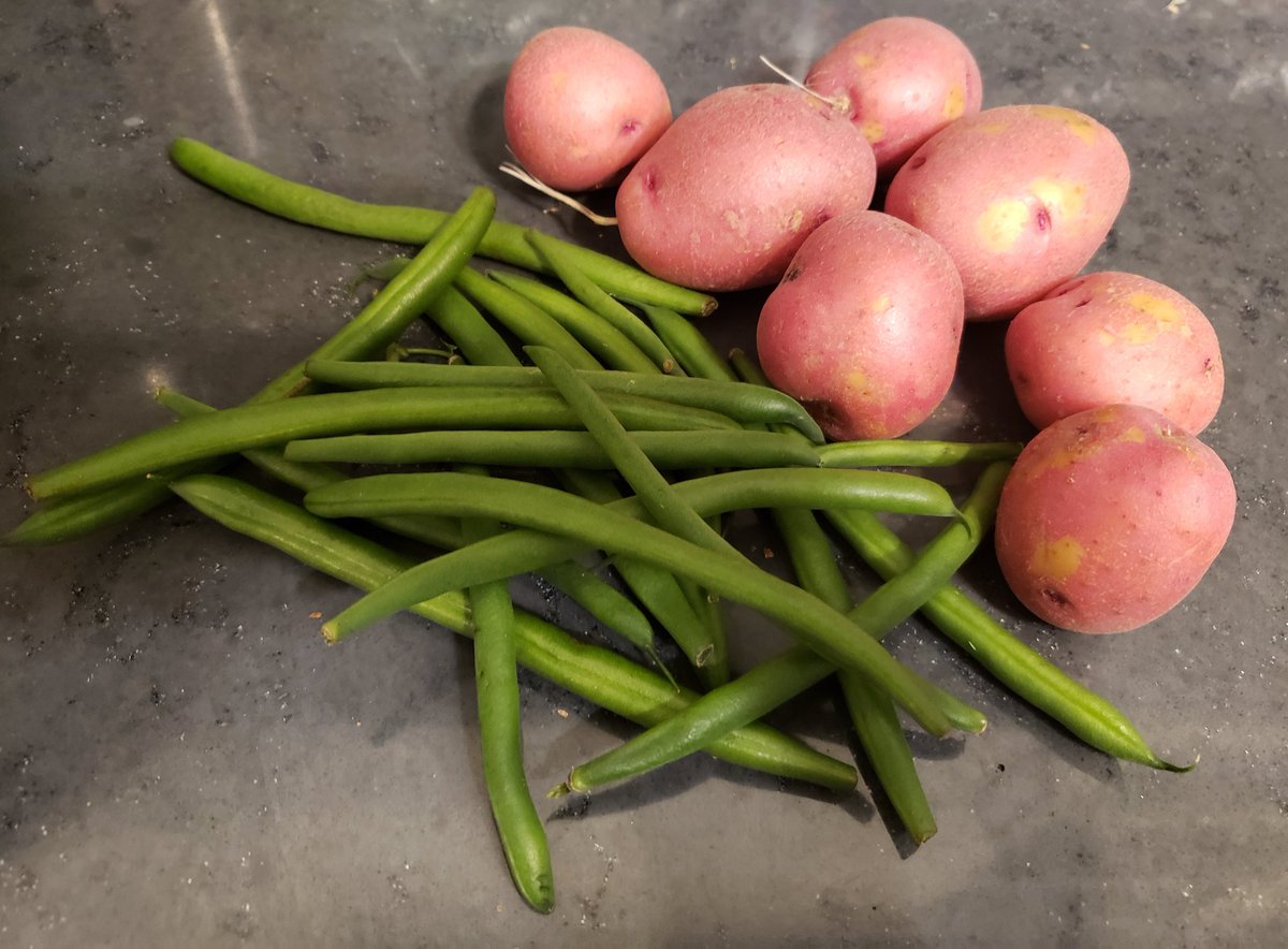 Tea_RedRose's tweet photo. All vegetables for dinner tonight are from local farmers. Not a far drive from the house. Supporting our local farmers. #supportlocalfamers #supportsmallbusiness https://t.co/gsUAAGpQ1k