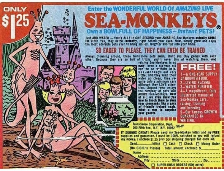 Todd Fox ✌🏽🦊🇺🇸🏴󠁧󠁢󠁳󠁣󠁴󠁿🇸🇯🇮🇪🇬🇧🇩🇪 tweet media