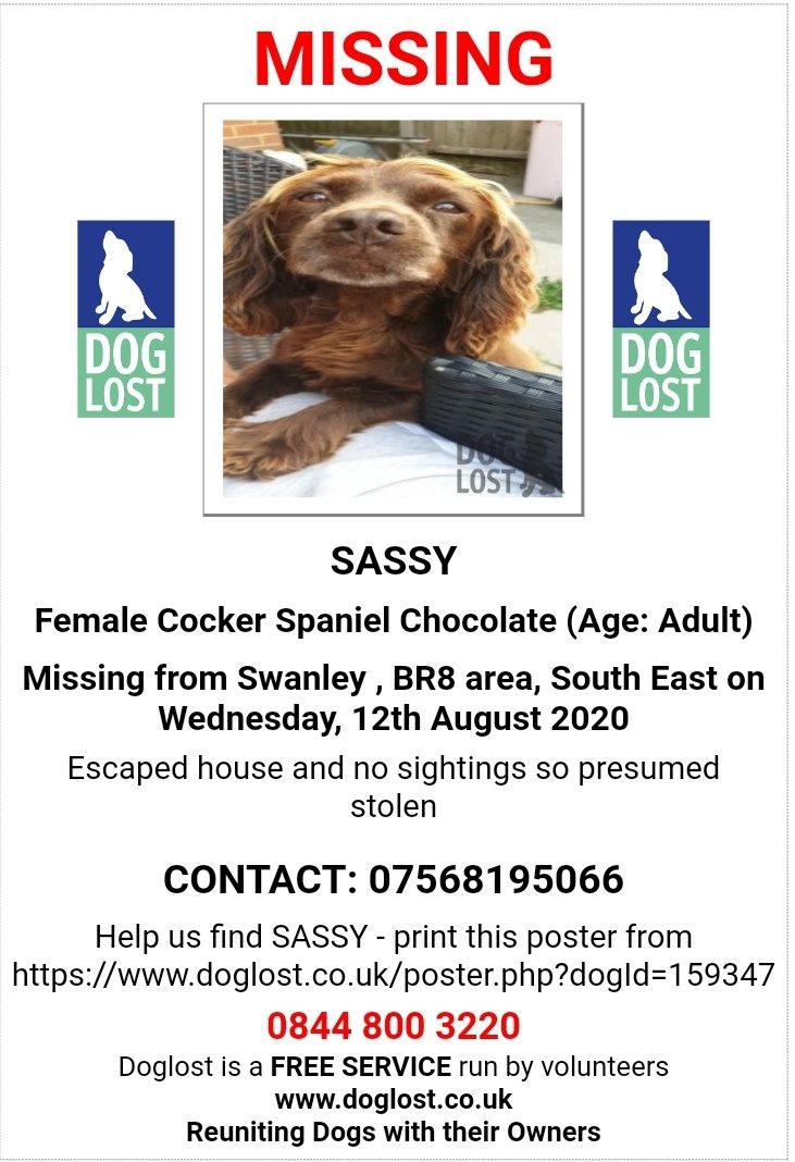 🐕 SASSY 
Cocker Spaniel lost on 12 Aug 2020 * presumed stolen

Sassy has 2 bottom front teeth missing and blonde bits in her fringe

She escaped her house and no sightings so presumed stolen 
#Swanley #BR8
NOT CHIPPED
 📞07568195066
doglost.co.uk/dog-blog.php?d…