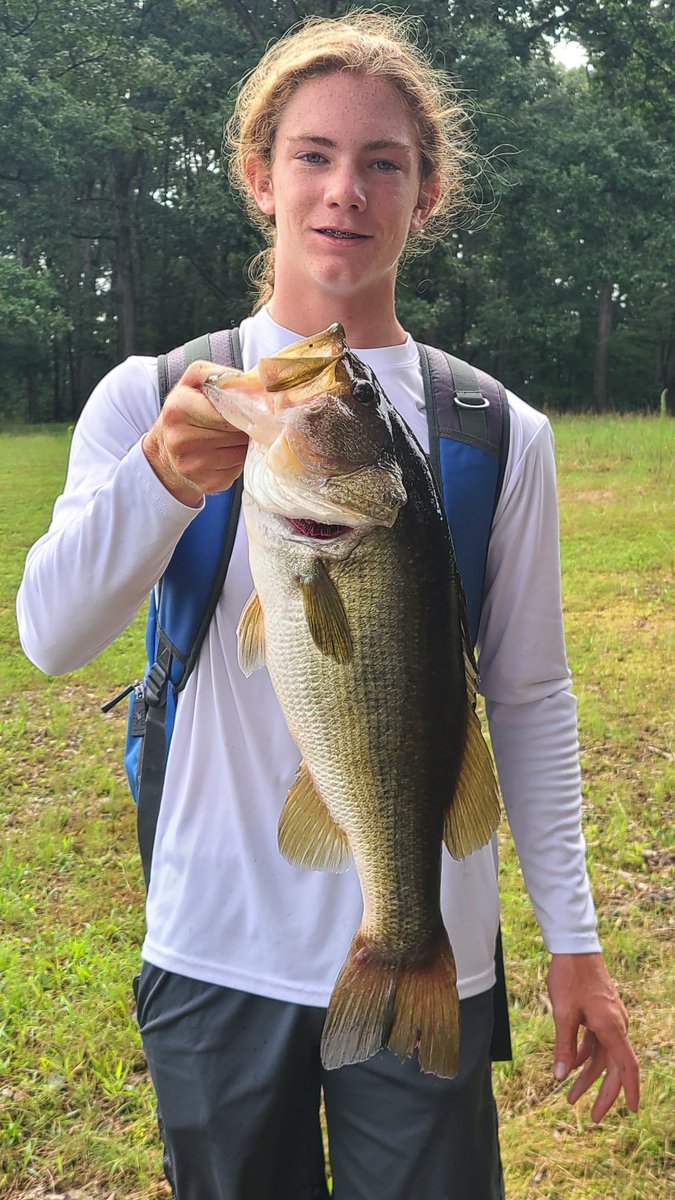 SheaMorton5's tweet photo. Just a few of the "little" ones we caught Thursday morning. 7.1lbs, 5.10lbs, 4.10lbs #smallpondfishing #myboys #newprs #toads #stanco #yeeyee https://t.co/A41UligAtY