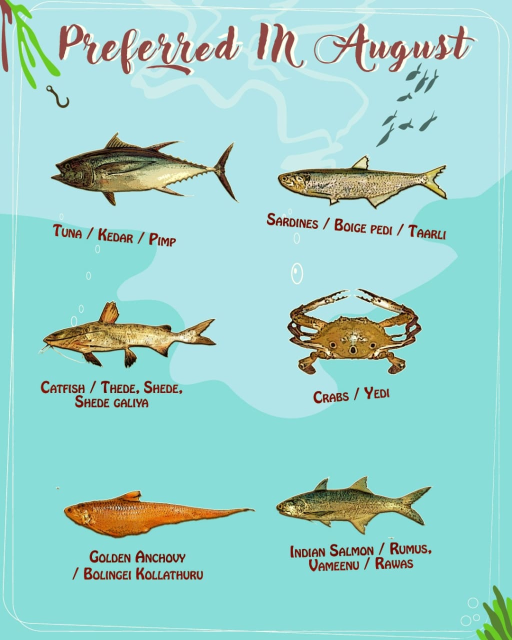 Indian Fishes With Names Know Your Fish On X: 