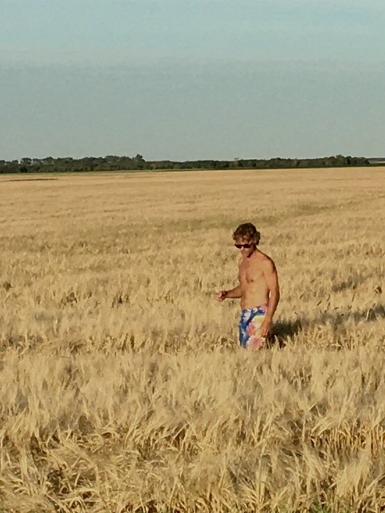 Sheila Elder tweet media