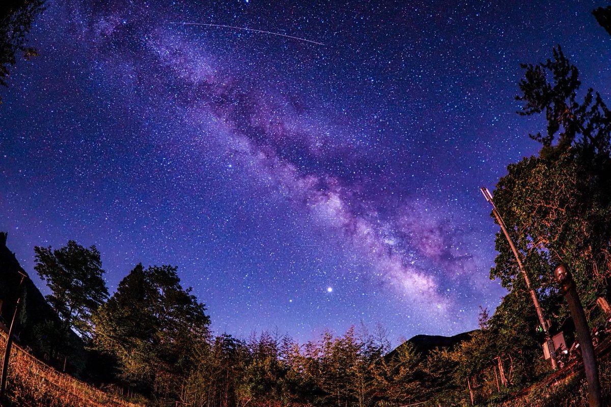 ごりちゅう tweet media